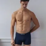 Bokserice Dani