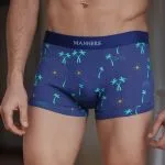 Bokserice David k.n.